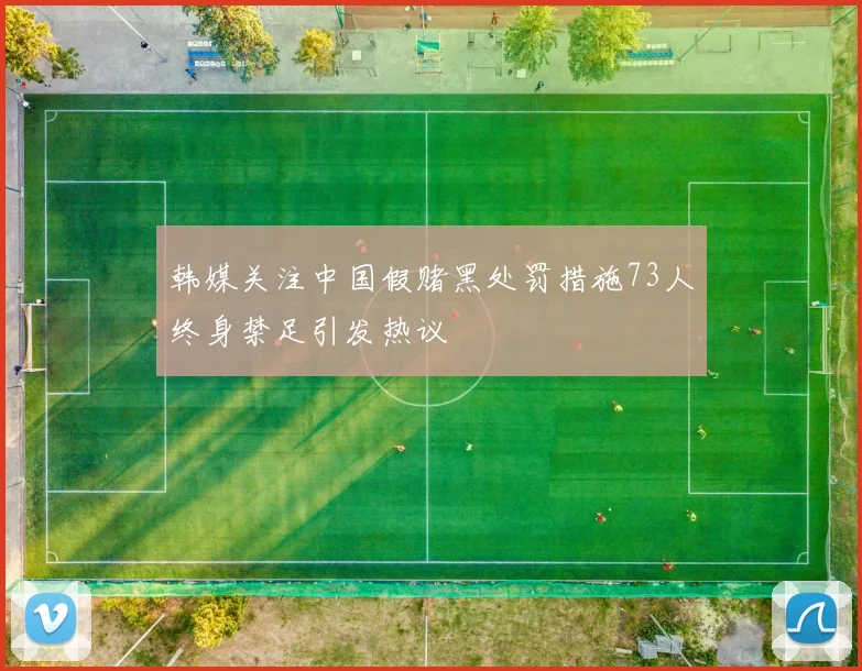 韩媒关注中国假赌黑处罚措施73人终身禁足引发热议