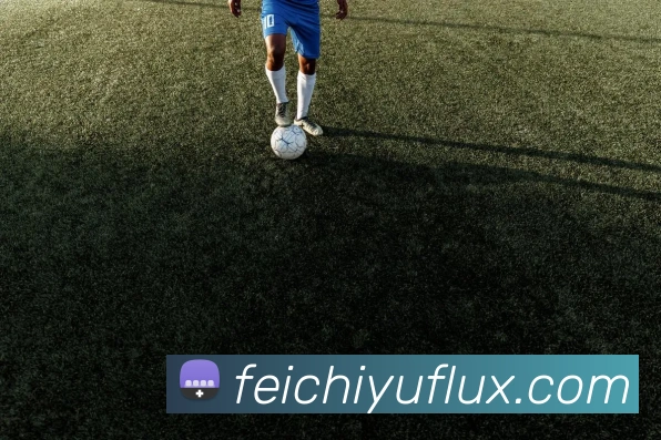 飞驰娱乐APP 高清赛事图